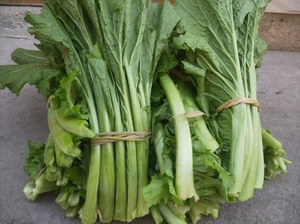 贵州大山新鲜大叶青菜腌制酸菜泡菜农家自种露天青菜现摘新鲜蔬菜