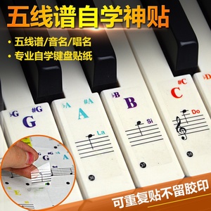 钢琴88/61/54/49键音阶键盘贴纸手卷电子琴简谱数字音符音标贴纸