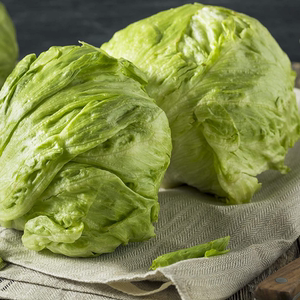 进口有机球形生菜种子 克里斯皮诺 可食用阳台盆栽香甜沙拉蔬菜