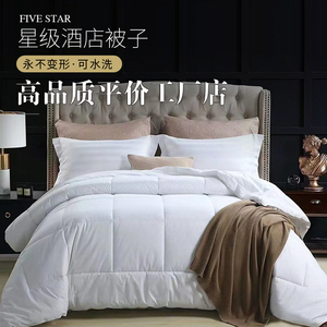 宾馆酒店床上用品批F保暖棉被被芯被褥冬全棉加厚春秋羽丝绒