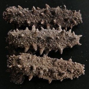 淡干水产干货尚正达牌海参烟台大连野生山东70-90个一斤_阿里巴巴找货