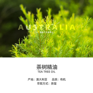 有机澳洲茶树精油舒缓肌肤温和抑菌 草本单方芳疗香薰