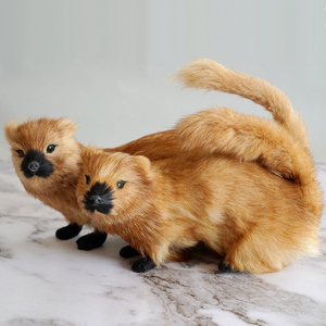 黄鼠狼头骨标本动物饰品diy文玩者摆件美小标本头骨模型35包邮0人付款