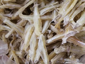 湛江雷州特产自然晒干西干鱼仔干微甜美味250克