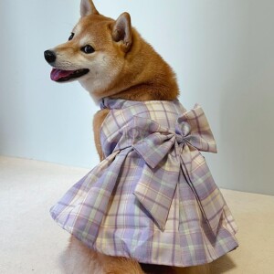 狗狗裙子宠物春秋夏装法斗柴犬雪纳瑞吊带jk裙比熊西高地衣服透气