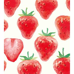 国内现货 古川纸工便签 春季草莓柄图 80*90mm