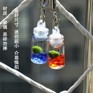 幸福海藻球旅行装迷你植物生态瓶marimo球藻微景观随身瓶创意礼物