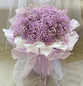 青栲子《满心欢喜》紫色满天星花束送女友闺蜜生日花成都鲜花同城