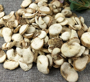 中药材浙贝母贝母大贝250克新货贝母片满包邮