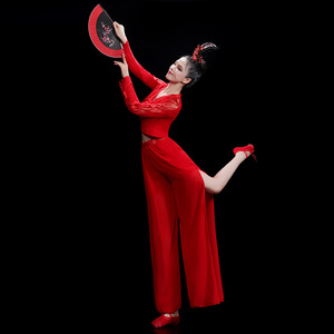 古典舞蹈服女身韵红昭愿飘逸上衣中国红色民族演出服装肚皮舞套.