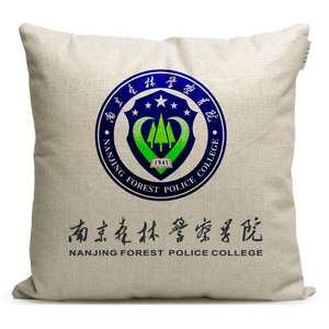 南京森林警察学院纪念品周边定制学校徽章文创毕业礼品沙发抱枕