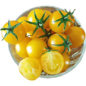 丹东东港黄色小柿子黄樱桃小番茄新鲜采摘水果圣女果食用顺丰包邮