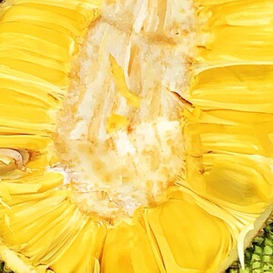 直播海南黄肉菠萝蜜热带新鲜应季水果10-40斤当季一整个包邮