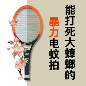 台湾安宝单层蟑螂电蚊拍非充电捕蚊拍强力电池耐用灭蚊马蜂苍蝇拍