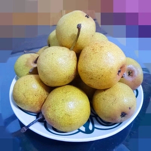 东北冻梨尖把梨