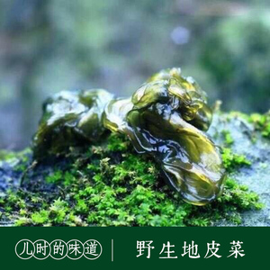 湘西野生地皮菜雷公丝地木耳新鲜
