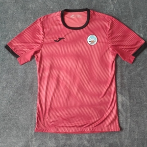 21–22赛季英冠球队斯旺西训练球衣,新赛季款,joma赞助