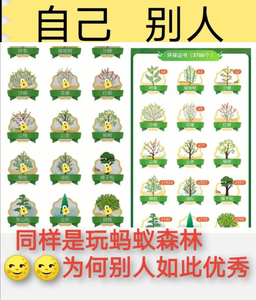 森林蚂蚁合种