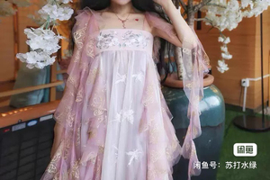 游园惊梦汉服 汉元素 梦游花宴，吊带汉元素，吊带裙。