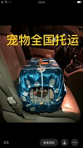 宠物托运上海到沈阳包车宠物托运。国内宠物托运靠谱，宠物托运公