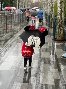 上海迪士尼米妮疯狂动物城朱迪童伞长柄伞雨伞晴雨伞，就在迪士尼