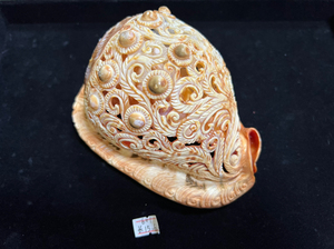 天然海螺,万宝螺,纯收工雕刻,招财镇宅,适当收藏,纪念品,尺