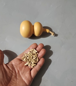 小八宝葫芦种子葫芦籽文玩葫芦种子天然小葫芦种子把玩阳台绿植包