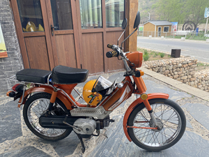 嘉玲50红公鸡 小加油快