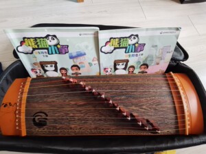 熊猫小筝,9成新以上,支架一套都有,13弦,适合初学者,本地