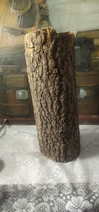 黄柏木，东北俗称黄玻璃树，有非常好的功效，可做木枕，对于颈椎