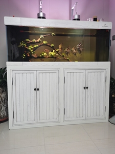 出售鱼缸尺寸160-70九鼎爱沐鱼缸原价3.5万