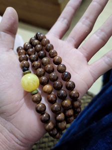 库克手串,巴西棕榈的植物果实.