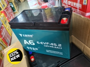 天能电池60v45a天能电池a6 6-evf-45.2ah全