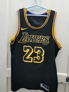 勒布朗詹姆斯湖人23号球衣,黑蛇纹48l码,自穿成色如图,还