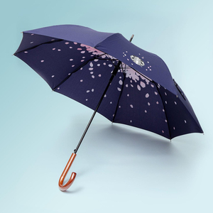星巴克樱花雨伞