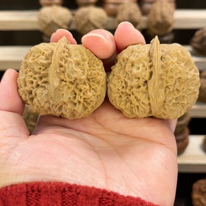 蚂蚁王云南野生文玩铁核桃
