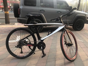 乐视狂鸟公路车,30速,前后碟刹,碳纤维骨架,有改动,颜值高