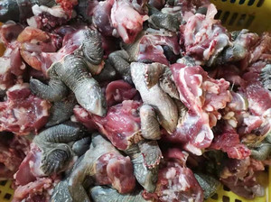 草龟肉 龟肉 乌龟肉 保证新鲜 煲汤龟 长期供应中华草龟