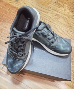 全新劲霸运动休闲鞋,高档男鞋,尺码41码42码各一双.零售价