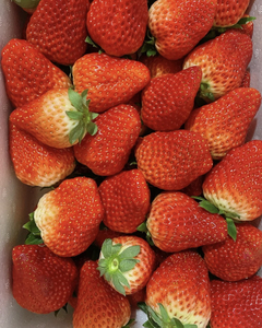 80同款货源傻燕2120淘宝【当日现摘】5斤59元草莓当天发货贵妃