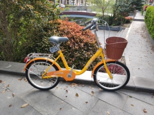 凤凰三轴自行车