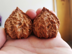 文玩核桃秦岭秋子,绝品配对,38 ,纹路狂野火焰纹,手疗神器