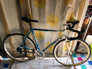 阿米尼钢架公路赛车,全国青少年锦标赛指定用车