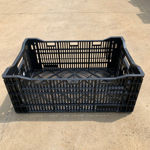 塑料周转筐筐子黑框多肉植物筐子!