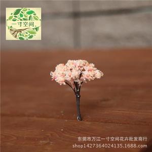 微缩苔藓微景观盆景装饰 仿真樱花树 幸福树 香树 沙盘模型
