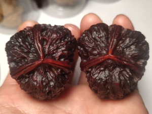 41尺七彩聚宝盆三棱,云南野生铁核桃七彩云南金蚕蛹蛤蟆头玲珑