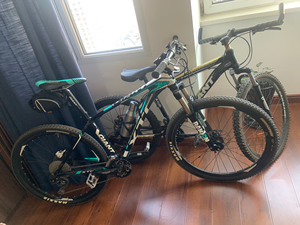 捷安特四公主 山地车自行车运动 没损坏 9成新 南京街奥园