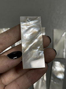 贝格shell 全新天然深海鱼骨珍珠螺钿澳洲白贝母片白蝶贝刀