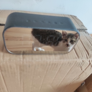 ximivogue 蓝牙钟表音箱,可以蓝牙播放,tif卡播放