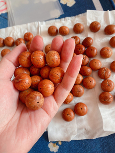 东北野生桃核苹果园光珠散珠一共90颗籽尺寸 19和20的 打